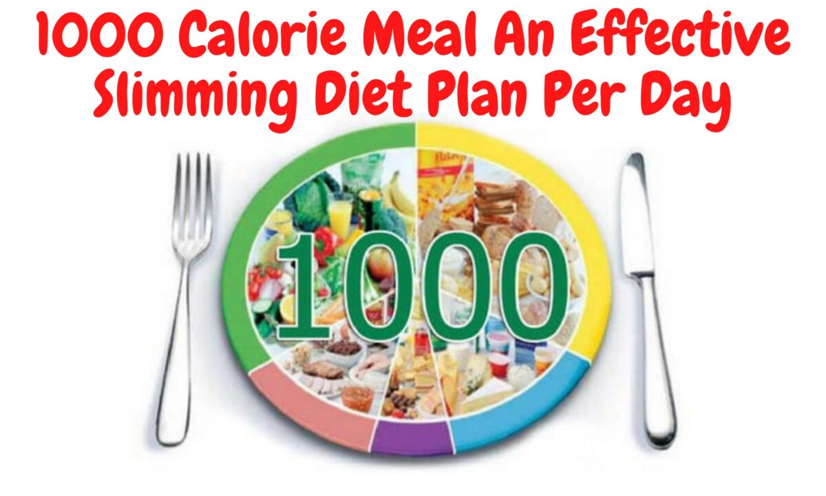 ONLY 1000 CALORIE MEAL PER DAY!