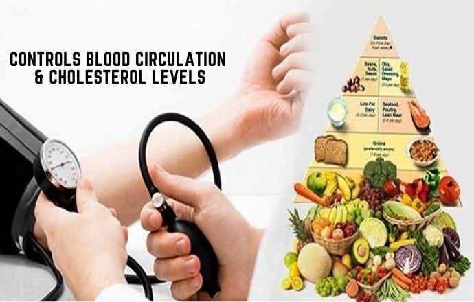 Controls Blood Circulation & Cholesterol Levels