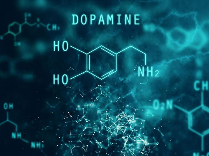 Sugar and dopamine surges