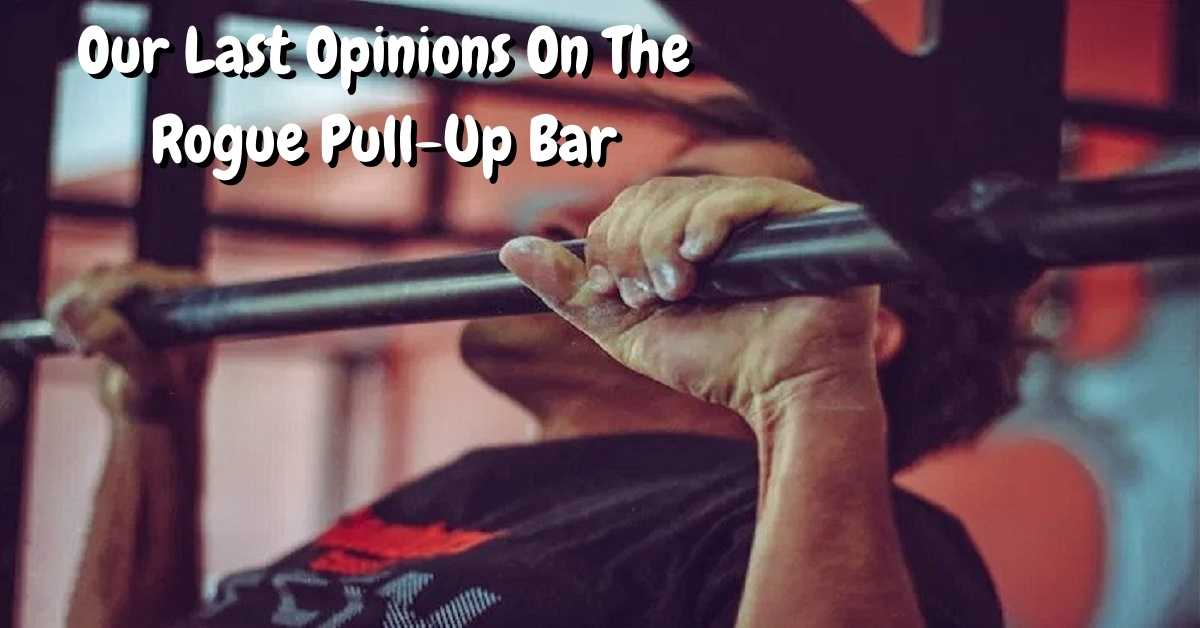 Our last opinions on the rogue pull up bar