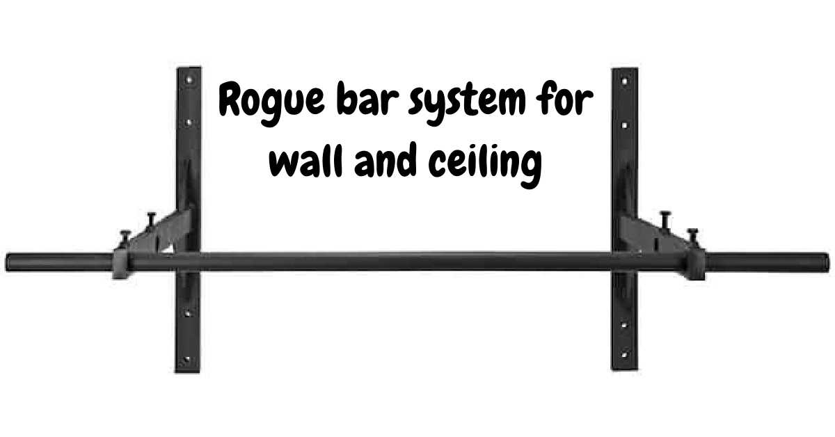 Rogue Pull Up Bar System For Wall And Ceiling