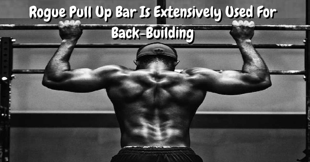 Rogue Pull Up Bar Is Extensively used for back building 